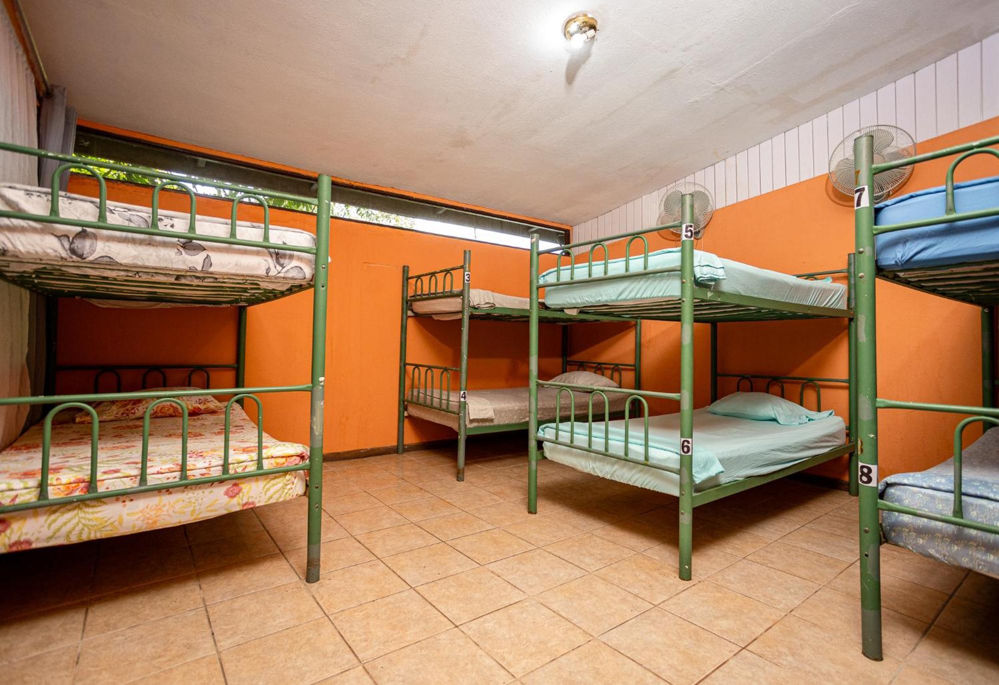 Manuel Antonio Hostel المظهر الخارجي الصورة
