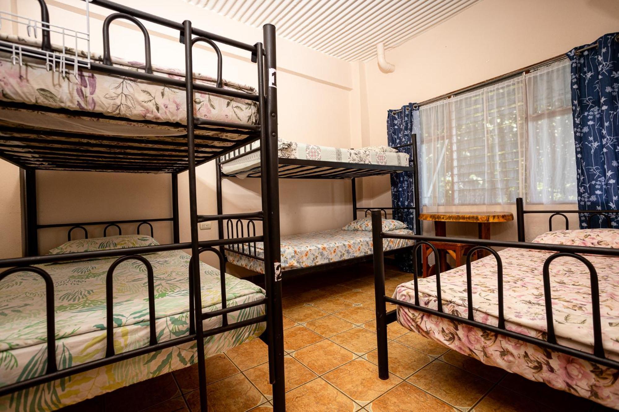 Manuel Antonio Hostel المظهر الخارجي الصورة