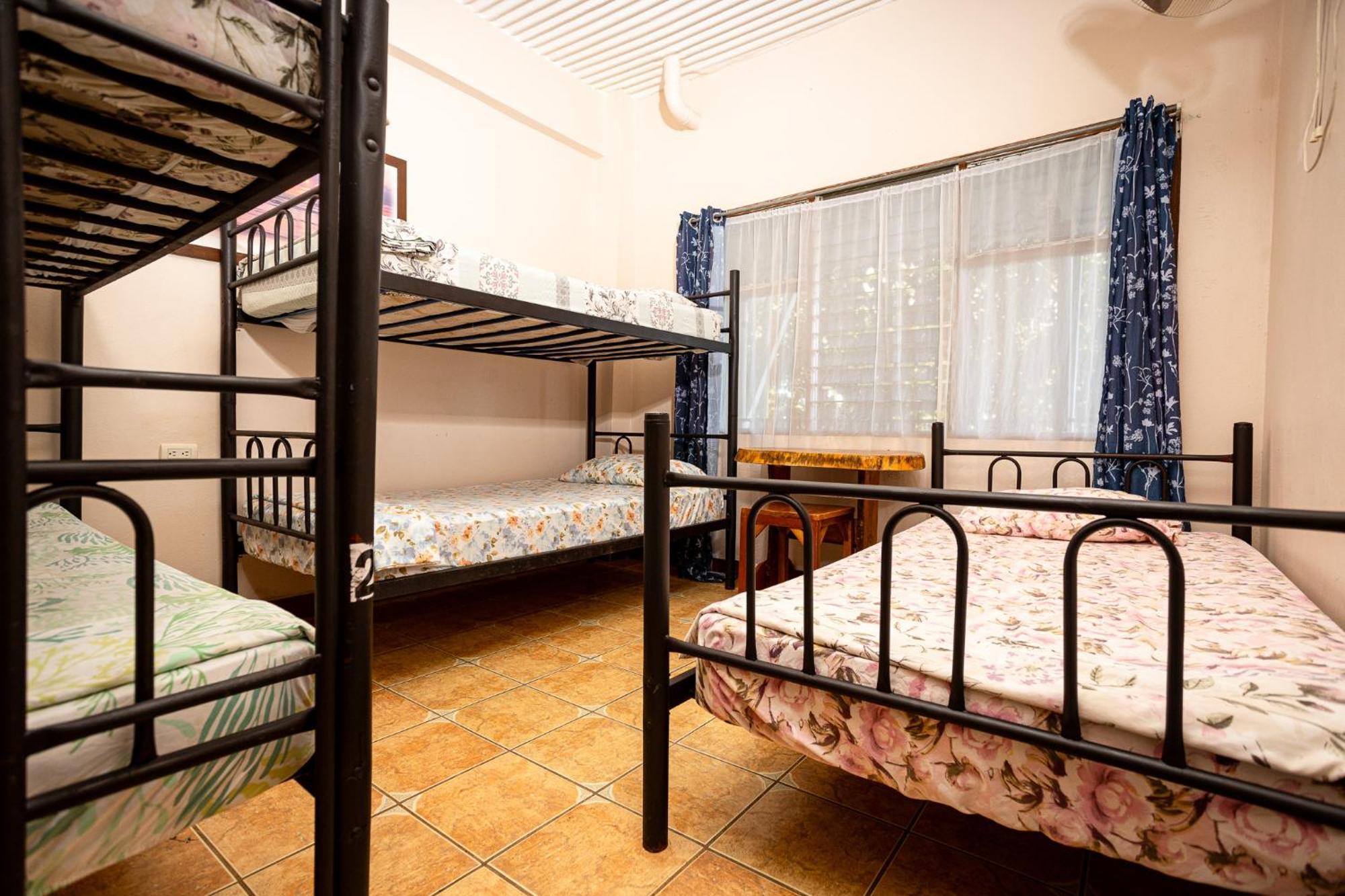 Manuel Antonio Hostel المظهر الخارجي الصورة